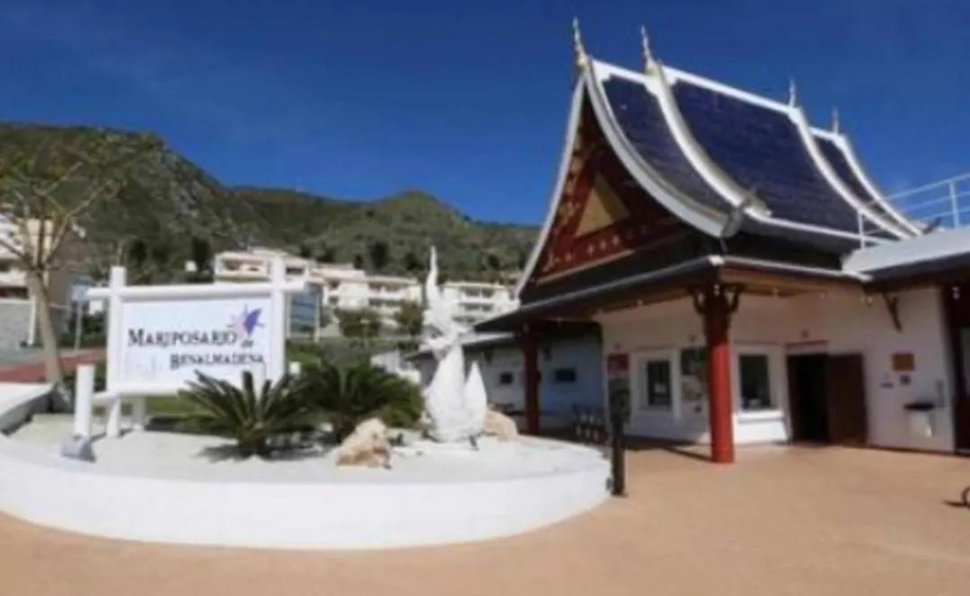 Benalbeach Luxury Studio Benalmadena 0*,  Spain
